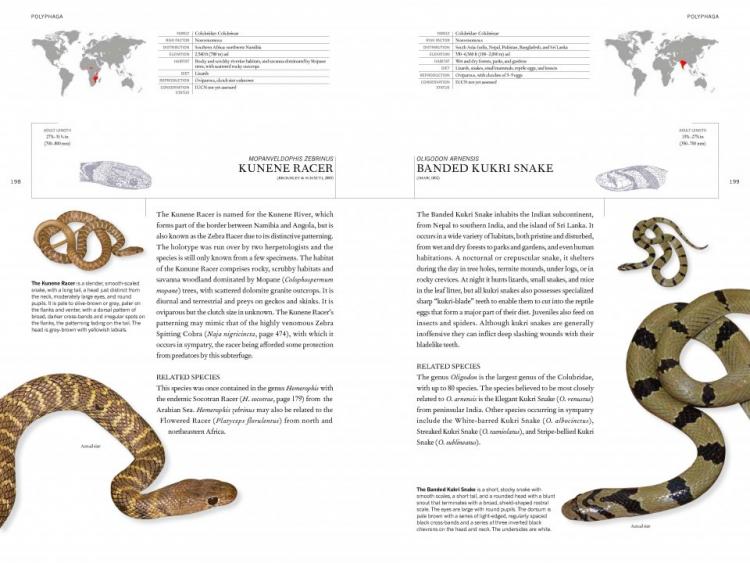 The Book of Snakes: A Lifesize Guide to Six Hundred Species from Around the World