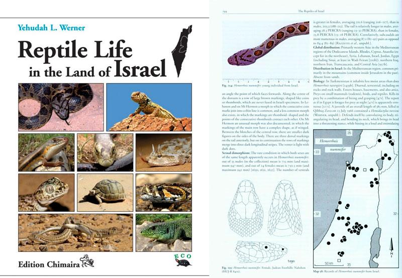 Yehudah L. Werner, Reptile Life in the Land of Israel